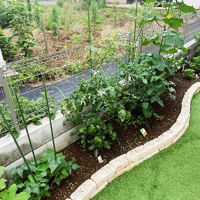Haruさんの部屋