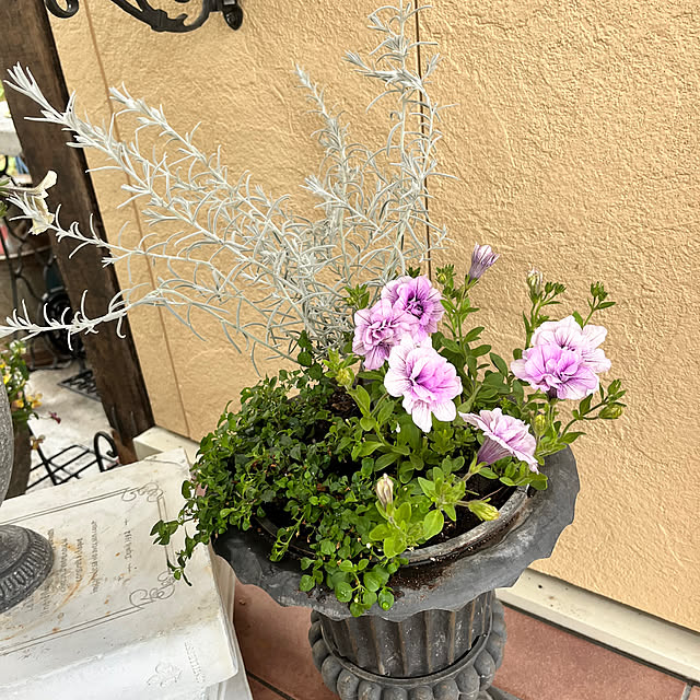rinrinさんの部屋