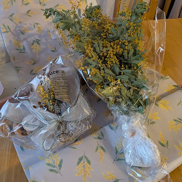 chi_gogaさんの部屋