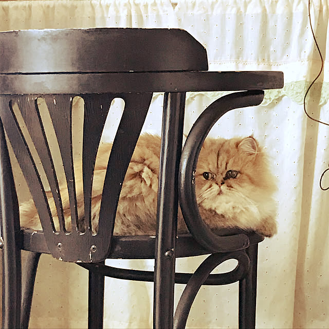 ichonさんの実例写真