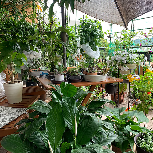 Aqettyさんの部屋