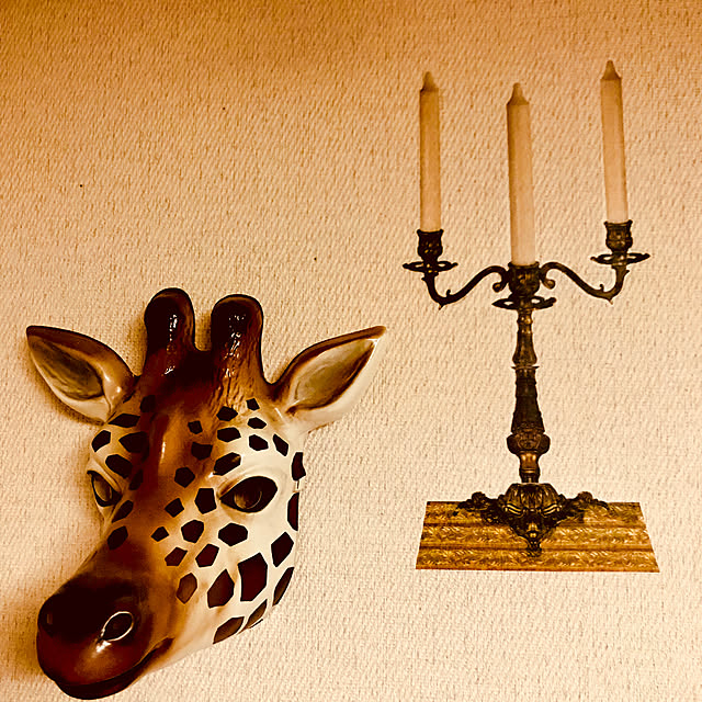ECOさんの実例写真
