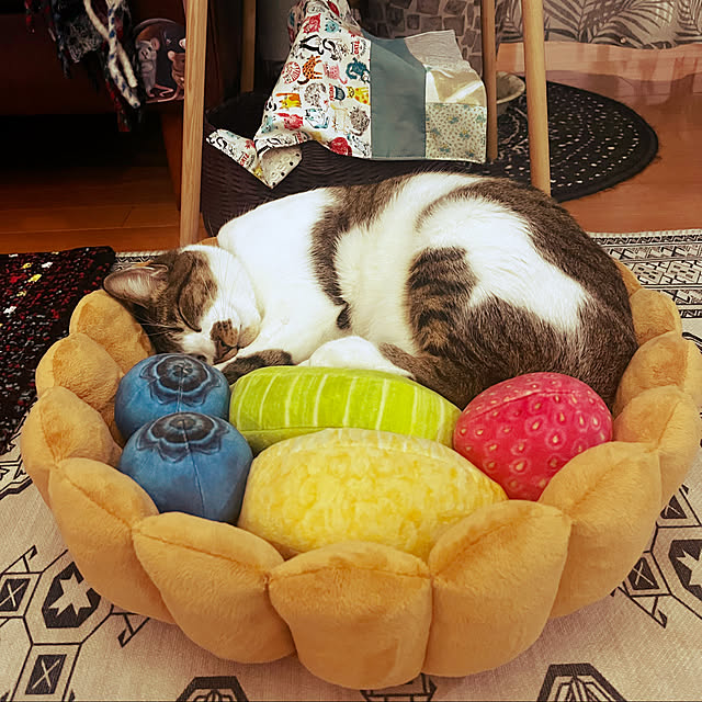 jijiさんの実例写真