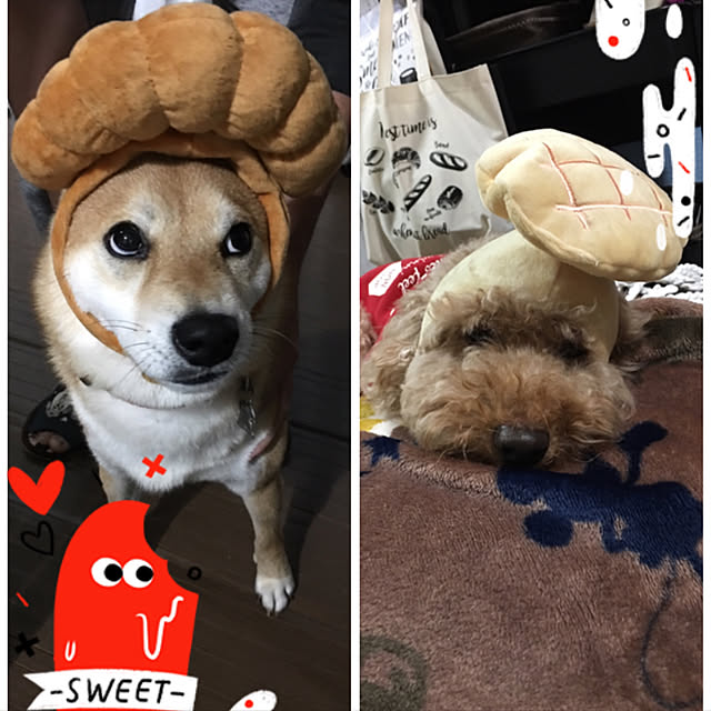 ronmaruさんの実例写真