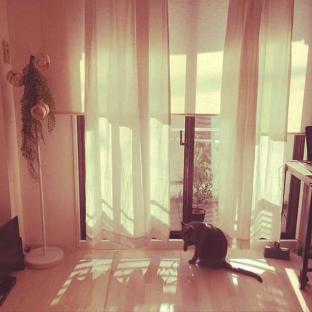 leaさんの実例写真