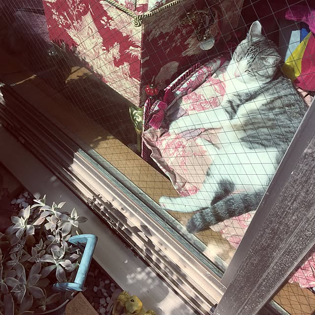 emmyyさんの実例写真