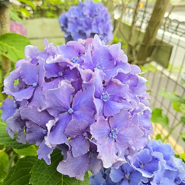 min_nimさんの実例写真