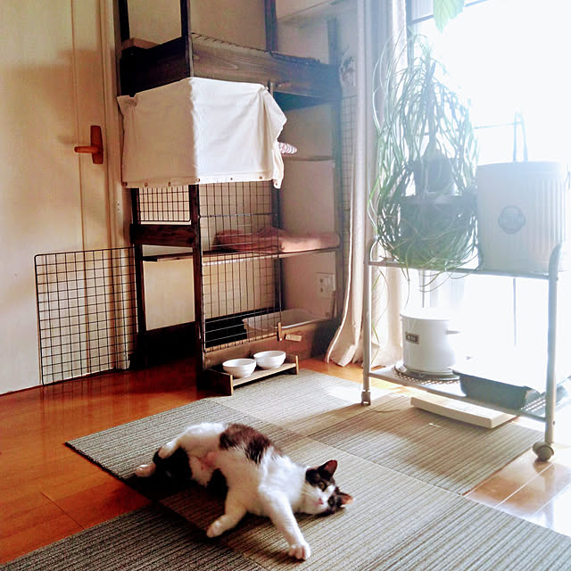 mayさんの実例写真
