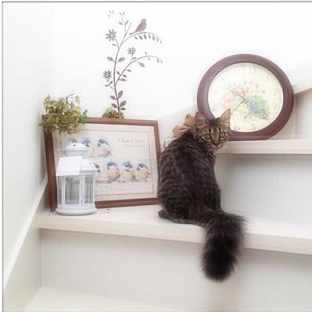 franさんの実例写真