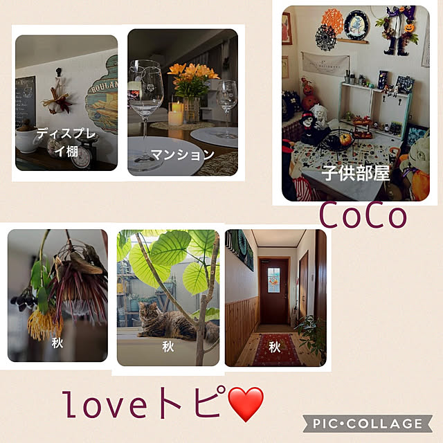 CoCo0617さんの実例写真