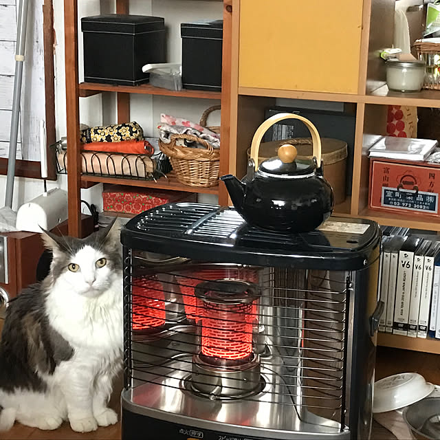 masakoさんの実例写真