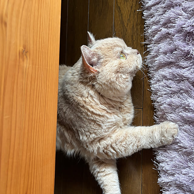 naokoさんの部屋