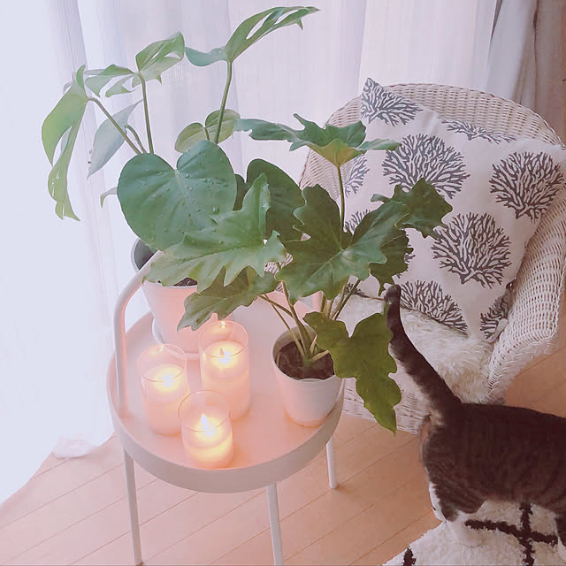 milkcocoaさんの実例写真