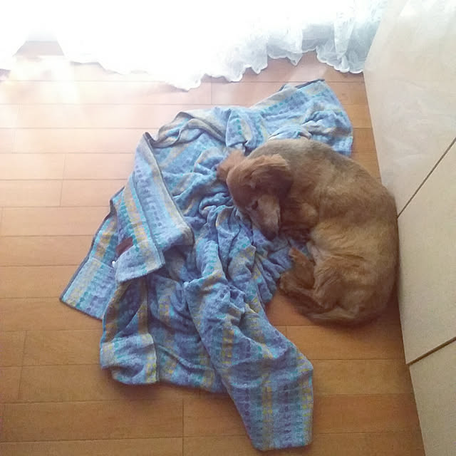 canalさんの実例写真