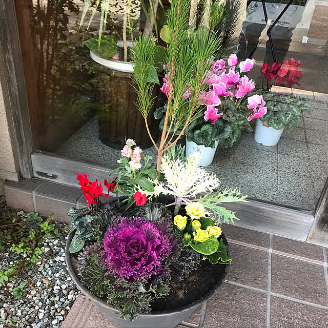 tommysobacさんの実例写真