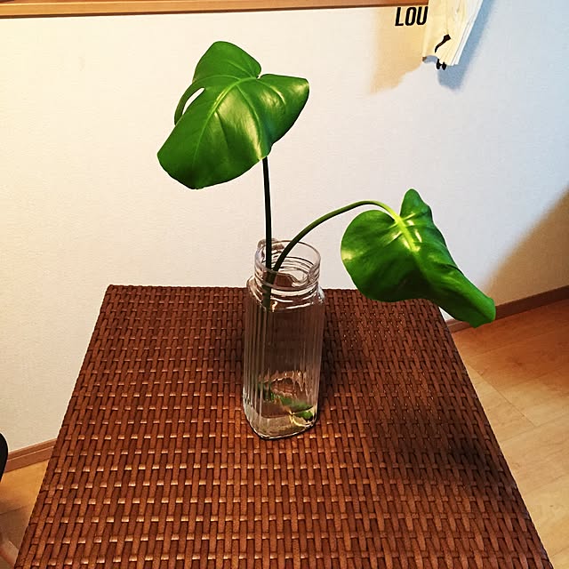 cloverさんの実例写真