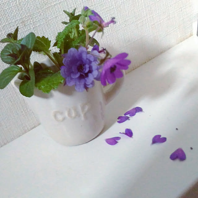 chiipinさんの実例写真
