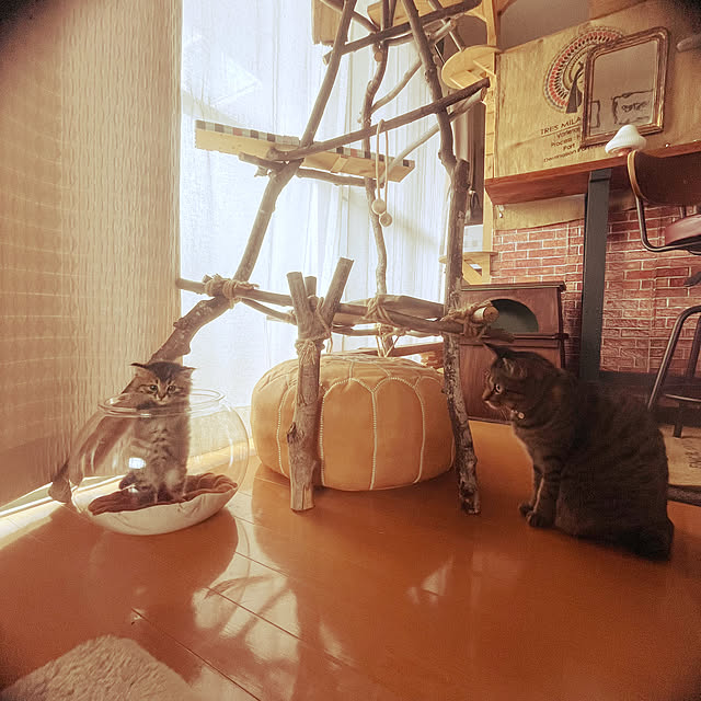 Mさんの実例写真