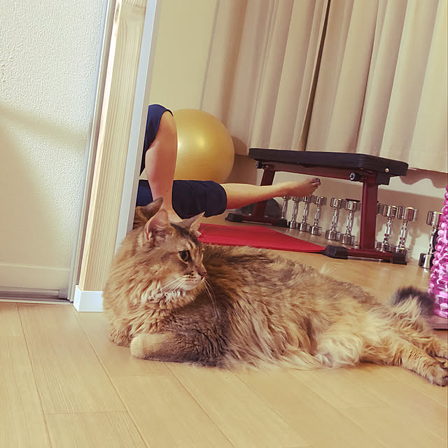 meさんの実例写真