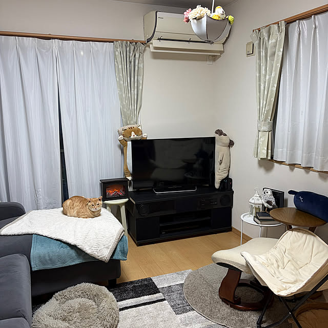 chiiさんの実例写真