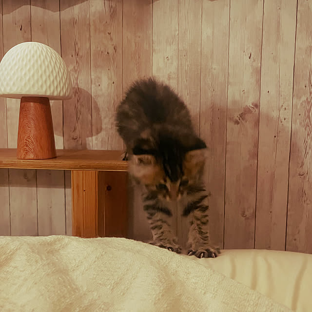 Mさんの部屋