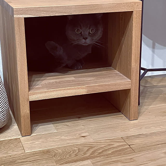 KOHAREさんの部屋