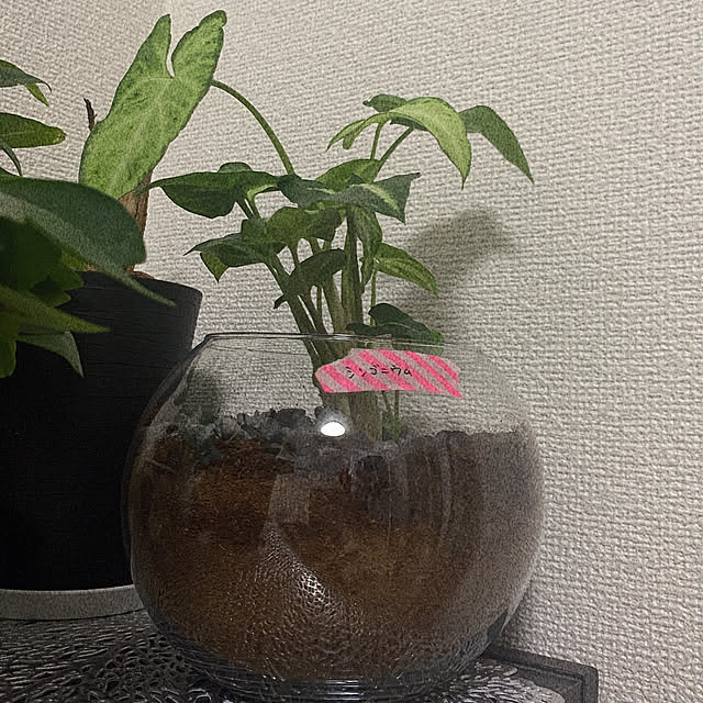 mさんの実例写真