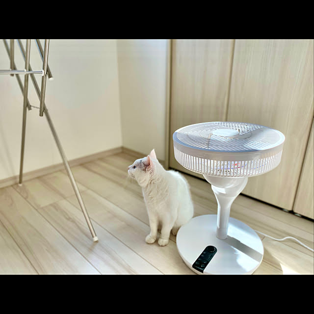 primaveraさんの実例写真