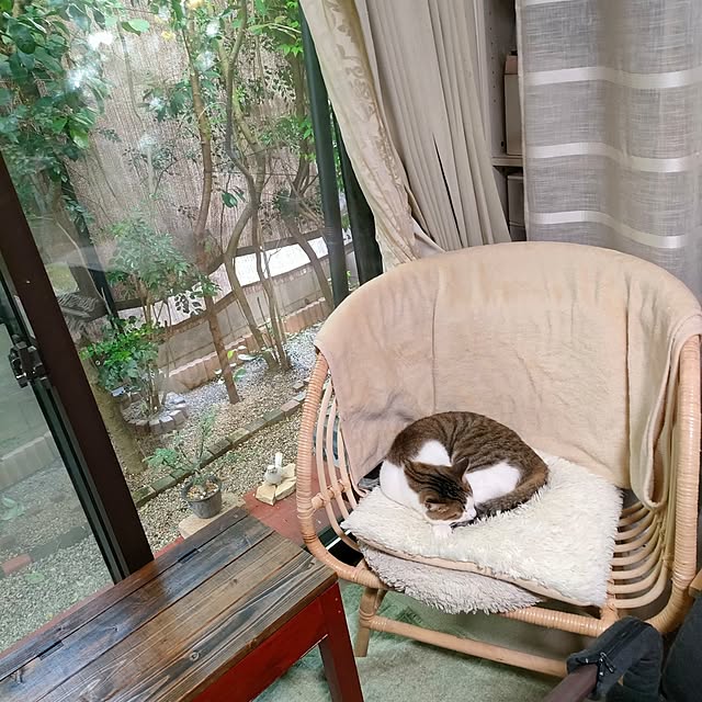 mori_6_12さんの実例写真