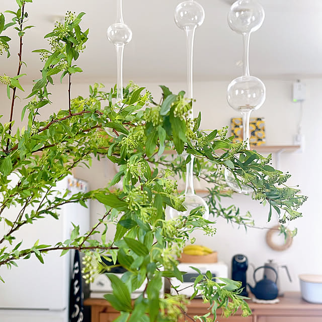 cocoaさんの部屋