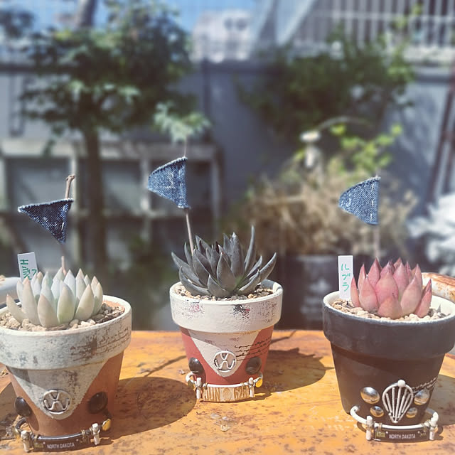 haxtusi301さんの実例写真