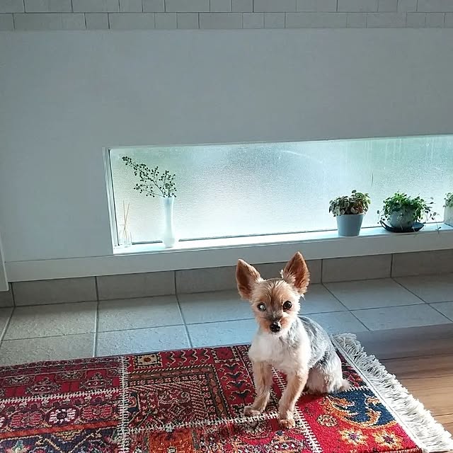 coco0.84.さんの実例写真