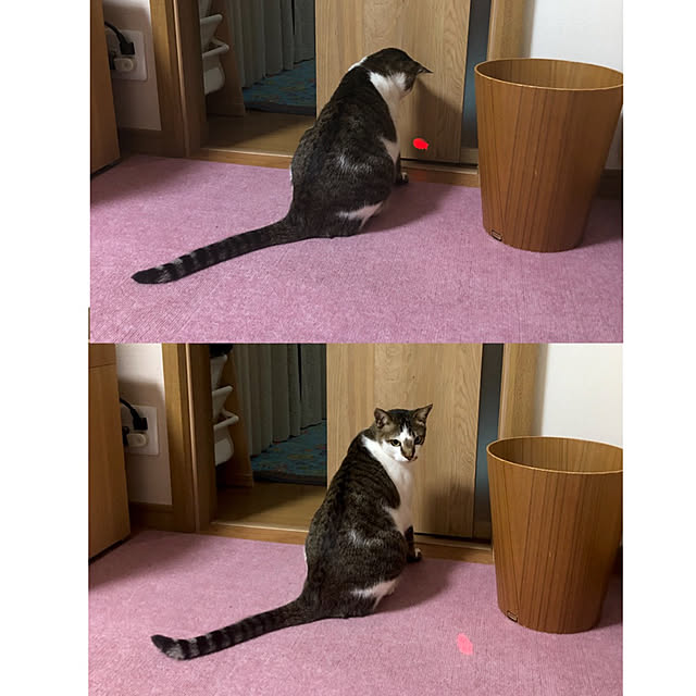 haruminさんの実例写真