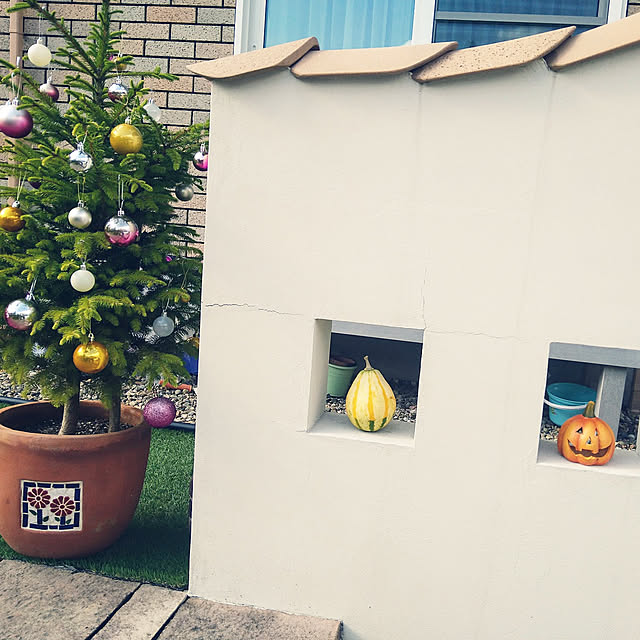 dangomushiさんの実例写真