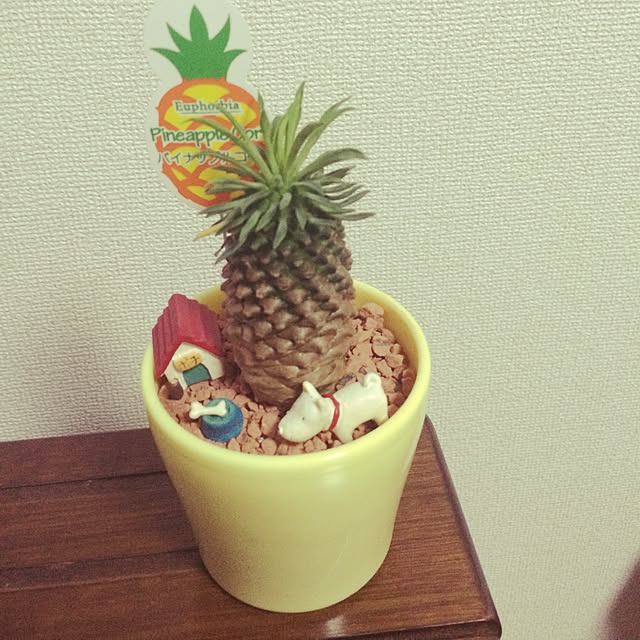 Ma_Manさんの実例写真