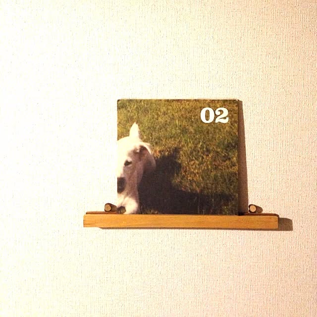 megさんの実例写真