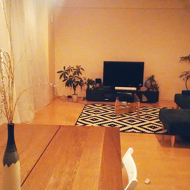 tambourine_junko2さんの実例写真