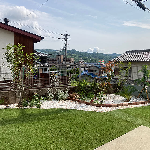 観葉植物/玄関/入り口のインテリア実例 - 2023-05-27 08:40:03