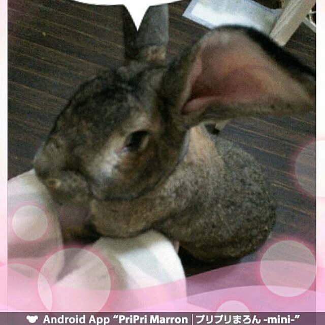 Mikaさんの実例写真