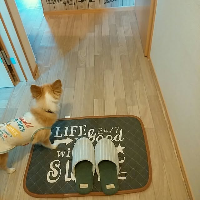 sasukeさんの実例写真