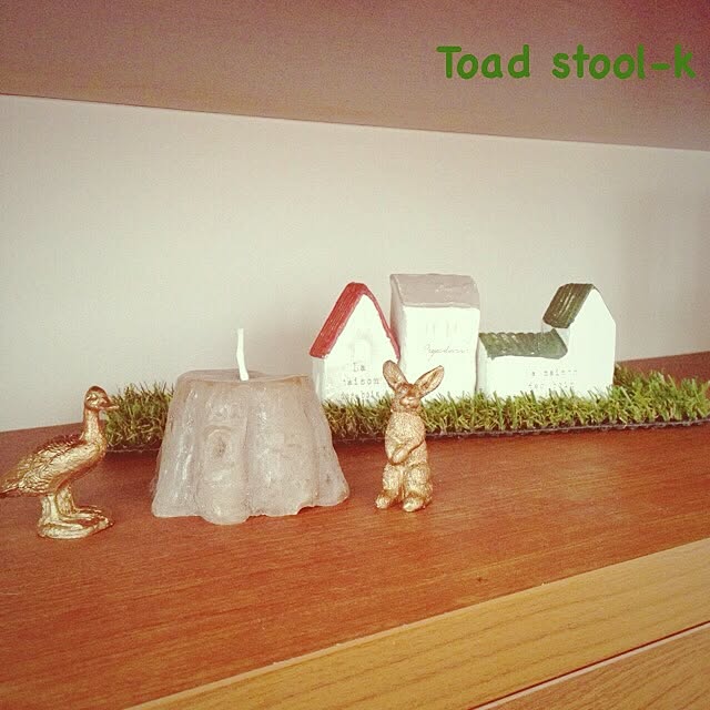 Toadstool-kさんの実例写真