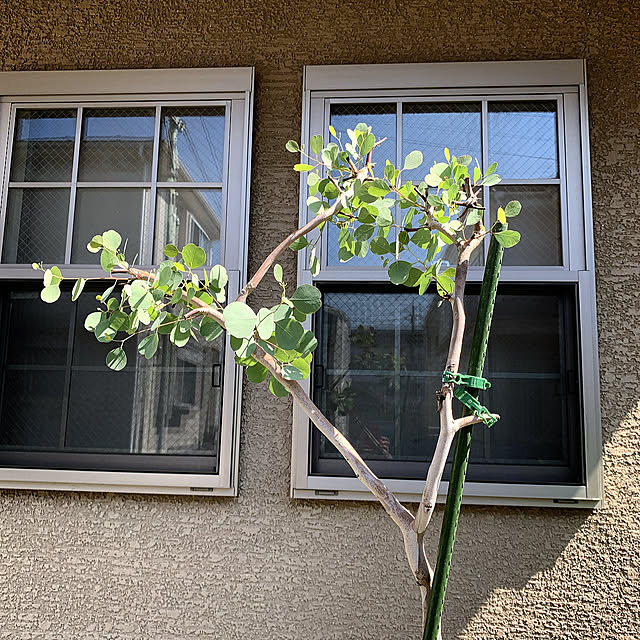eshinobumさんの部屋