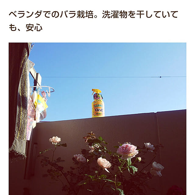 hiromimiさんの実例写真