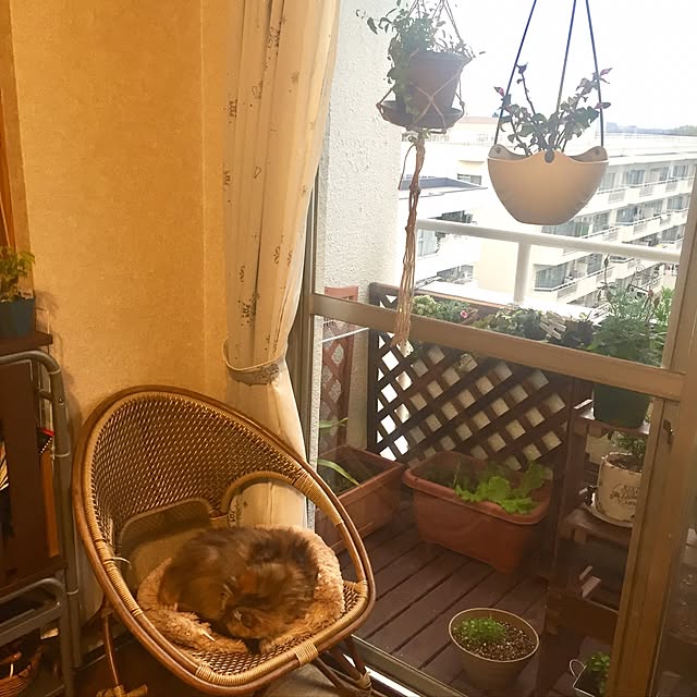 miyapp.hiroppさんの実例写真