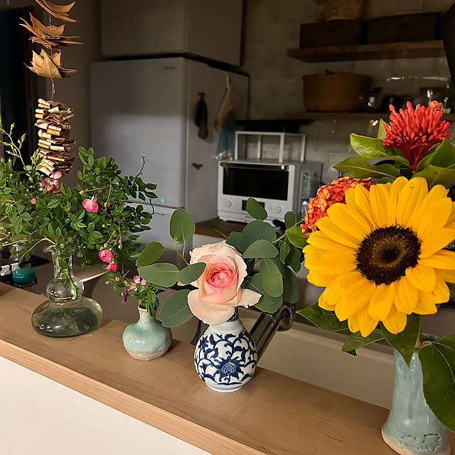 hatsugaさんの部屋