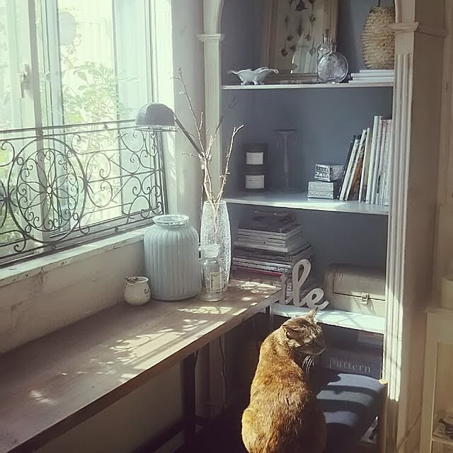 mikemomoさんの実例写真