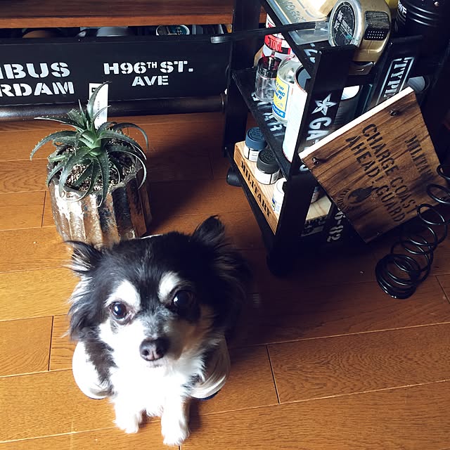 Takaさんの実例写真