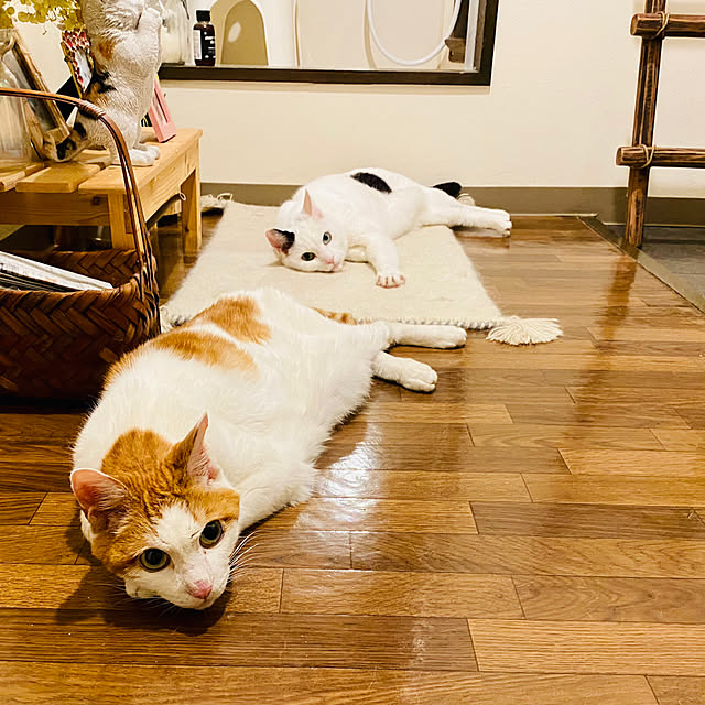 YUKAさんの部屋