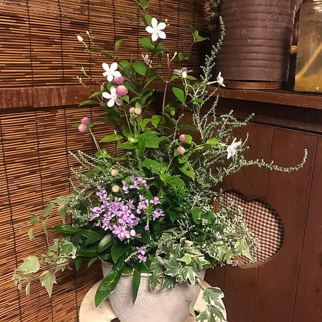 Miyokoさんの実例写真