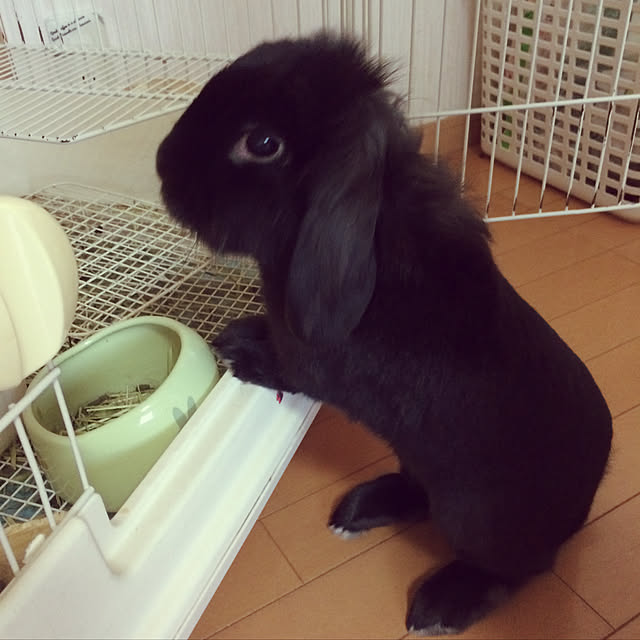 tudukiさんの実例写真